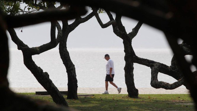 Bastam 10 minutos de exercício ultraleve para cérebro